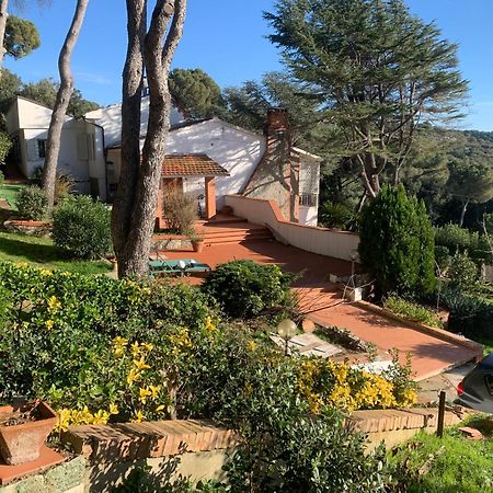 Villa Tara Quercianella Dış mekan fotoğraf
