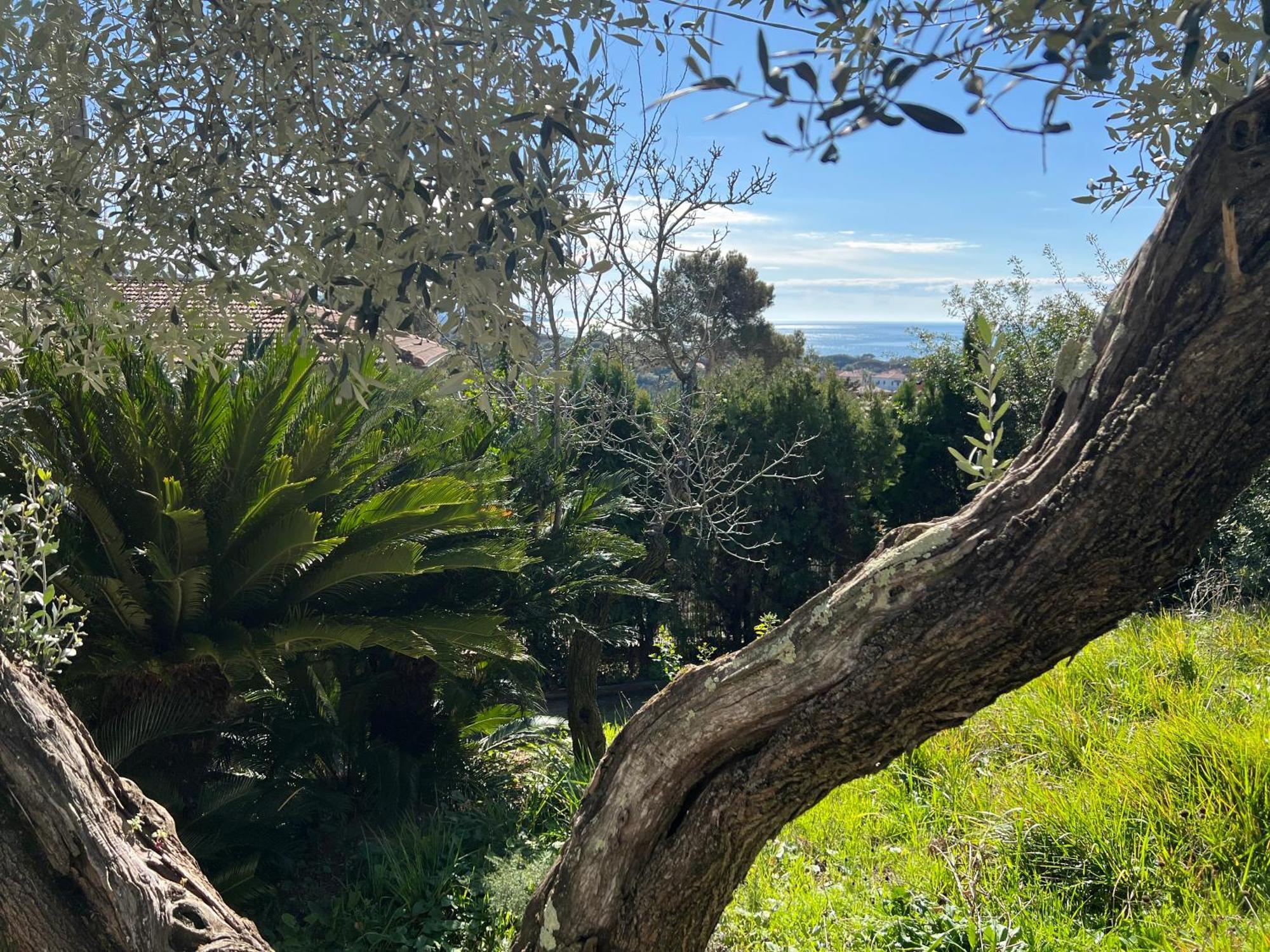 Villa Tara Quercianella Dış mekan fotoğraf