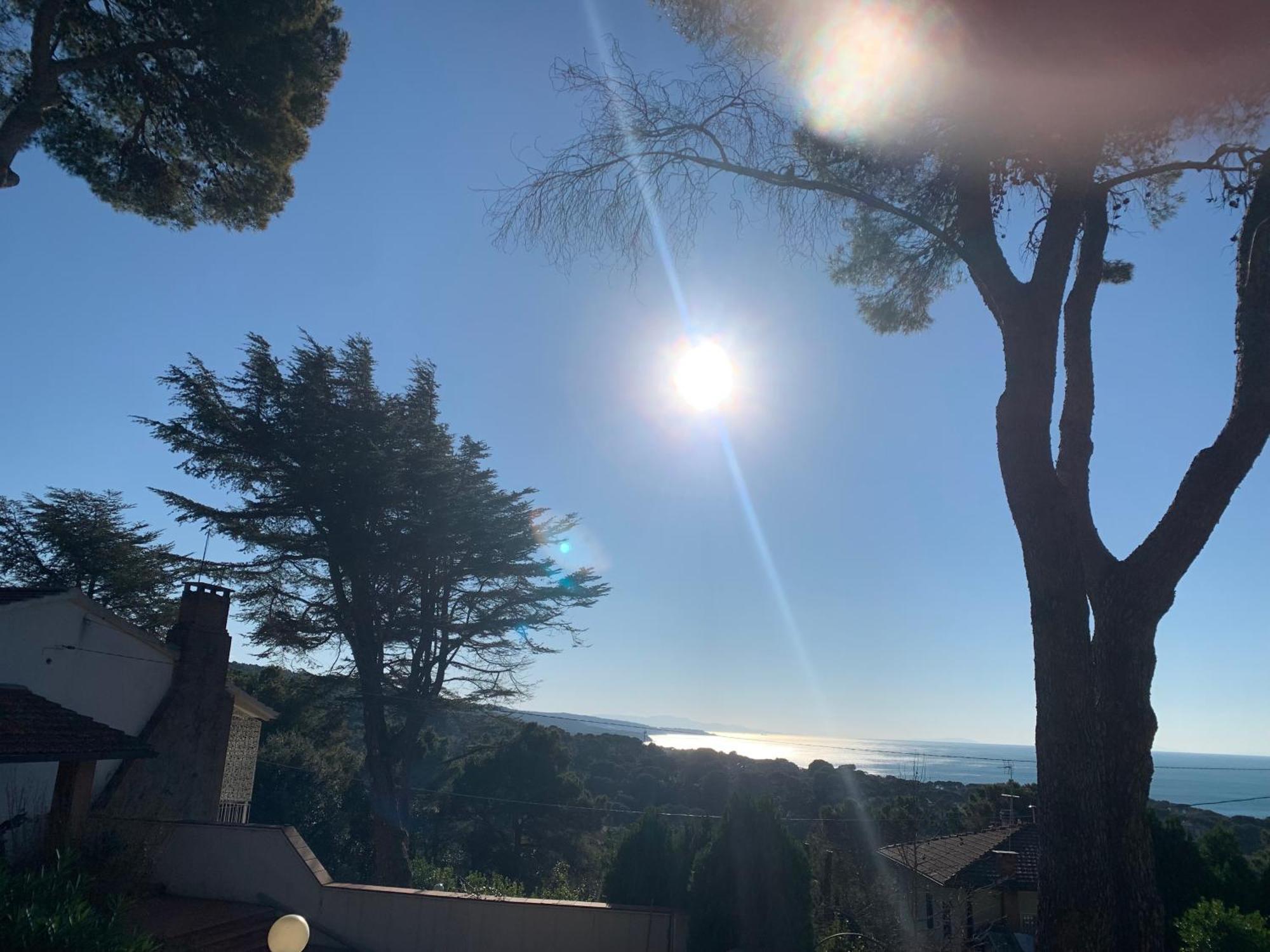 Villa Tara Quercianella Dış mekan fotoğraf
