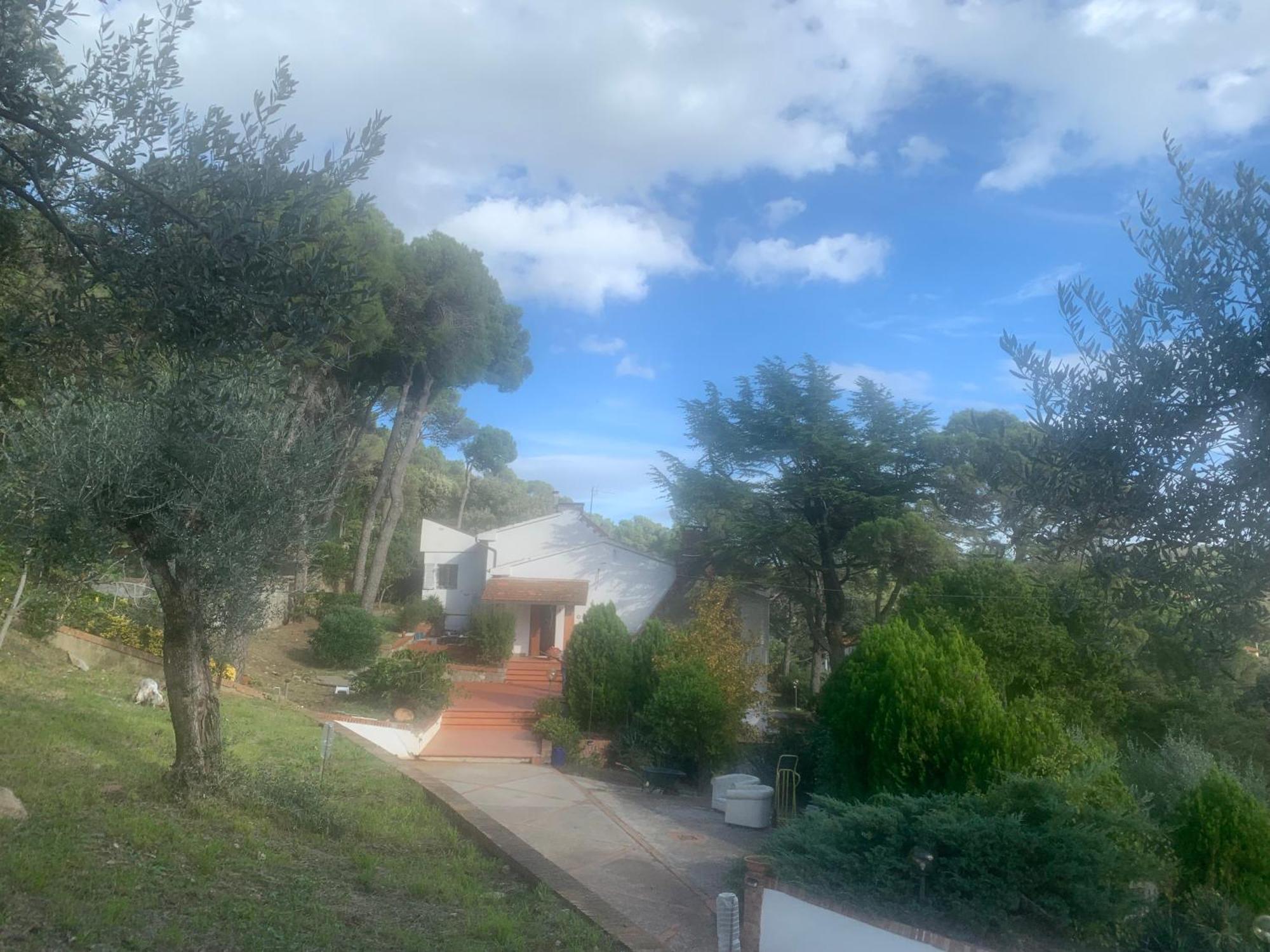 Villa Tara Quercianella Dış mekan fotoğraf